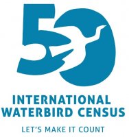 Международная перепись водно-болотных птиц
