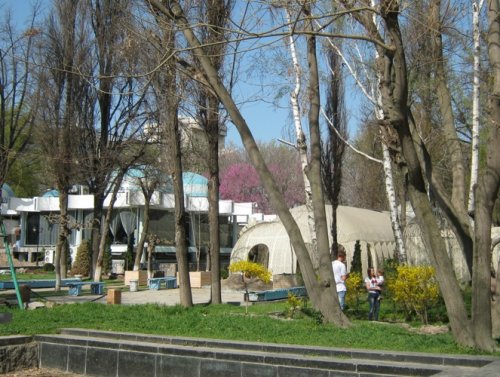 Ранняя весна 2016 г. в Ташкенте