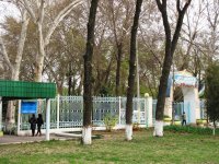 В Навруз в Ташкентском ботаническом саду