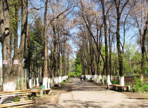 В Навруз в Ташкентском ботаническом саду