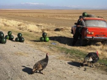 Новое в законодательстве для растительного и животного мира      Узбекистана