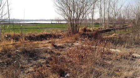 Контроль за рациональным использованием земли возложен на прокуратуру