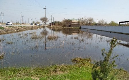 Пахтакор удивил потопом