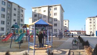 ПРООН поможет в разработке генплана по озеленению ландшафтов и городов Узбекистана