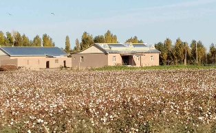 В Узбекистане земли для ведения сельского хозяйства сдаются в аренду населению на 30 лет