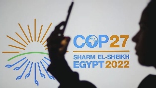 Участники COP-27 объявили о создании Международного альянса по устойчивости к засухе