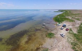 Что делается, чтобы сохранить Малый Арал и наполнить водоемы в устье Амударьи?
