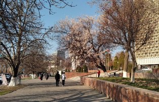 Какие самые острые экологические проблемы в Узбекистане по мнению узбекистанцев?