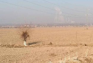В Узбекистане будет внедрена система прогнозирования загрязнения воздуха