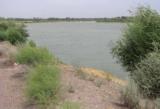 Cырдарья подекадно за май 2023 года: приточность к водохранилищам и попуски из них не по прогнозу