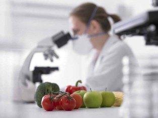 Южная Корея поддержит развитие фитосанитарной службы Узбекистана