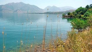 Качество воды в каналах Ташкента и близлежащих водохранилищах в июле 2023 года