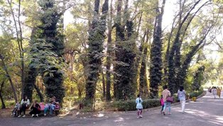 Ботанический сад общественность Ташкента отстояла. Что станется со 195 парками страны?