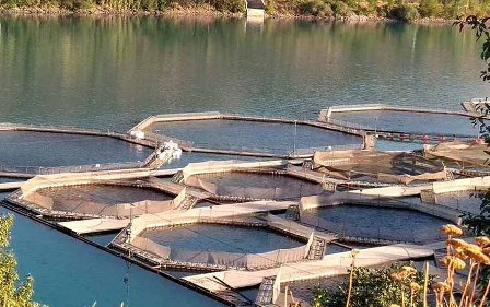 Практические рекомендации по качеству воды для сельского хозяйства в докладе ФАО и ИВМИ