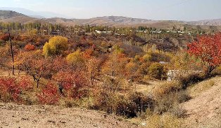 Восстановление устойчивых лесных ландшафтов в Узбекистане