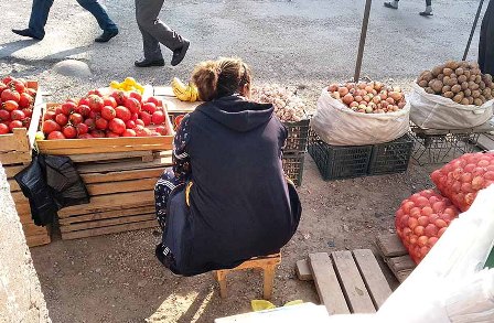 Расширение холодильных мощностей позволит аграриям Узбекистана снизить потери урожая