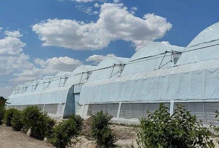 Тепловые насосы в Узбекистане станут альтернативой газу, углю и автопокрышкам?