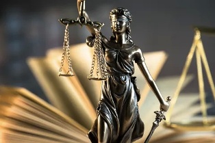 Вызовите свидетелей, проверьте доказательства и судите