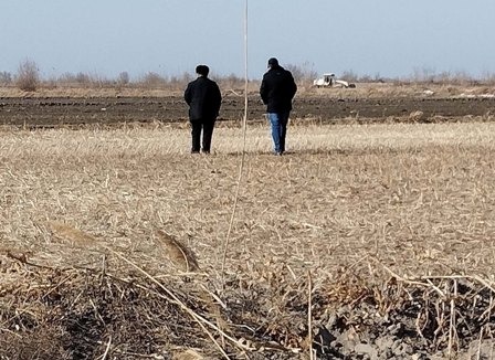 Туркменский опыт: на полях близ Дашогуза