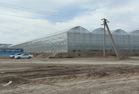 Туркменский опыт: миндальные сады и банановые теплицы в соседстве с Каракумами