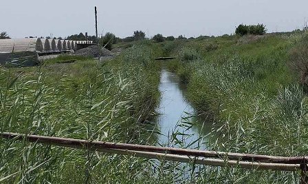 Проблемы использования сточных вод в сельском хозяйстве