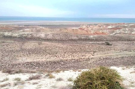 Будет Международный день Аральского моря, Амударьи и Сырдарьи
