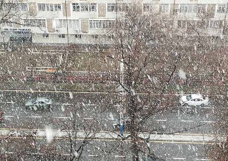 Снежный занавес в финале 2025-го для праздничного настроения узбекистанцев