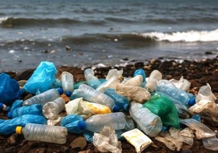Человечество привнесло в окружающую среду в 2025 году 130 млн тонн пластика