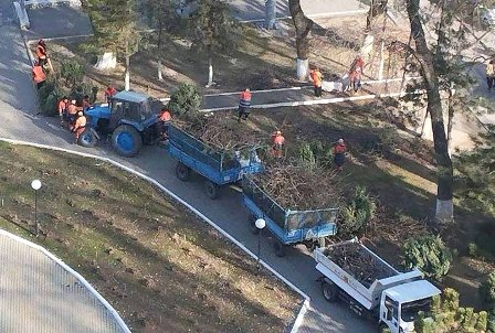 Вклад в глобальное потепление ташкентских благоустроителей