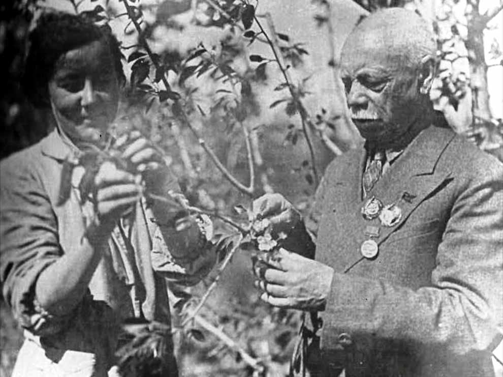 О Рихарде Шредере замолвим мы слово