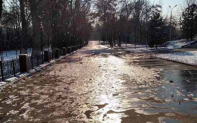 Соль, пластик и экстремальное тепло губят городскую почву