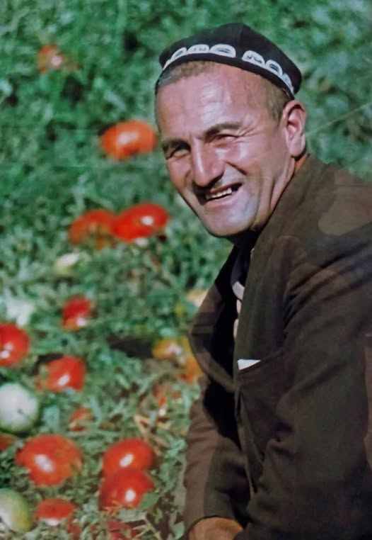 История одного помидора